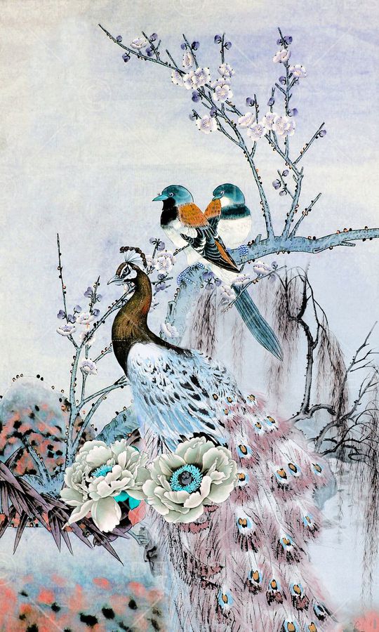 孔雀印花华亿平台图片