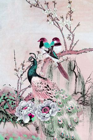 孔雀印花华亿平台图片