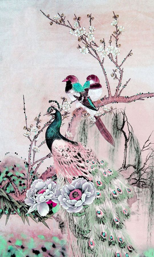 孔雀印花华亿平台图片