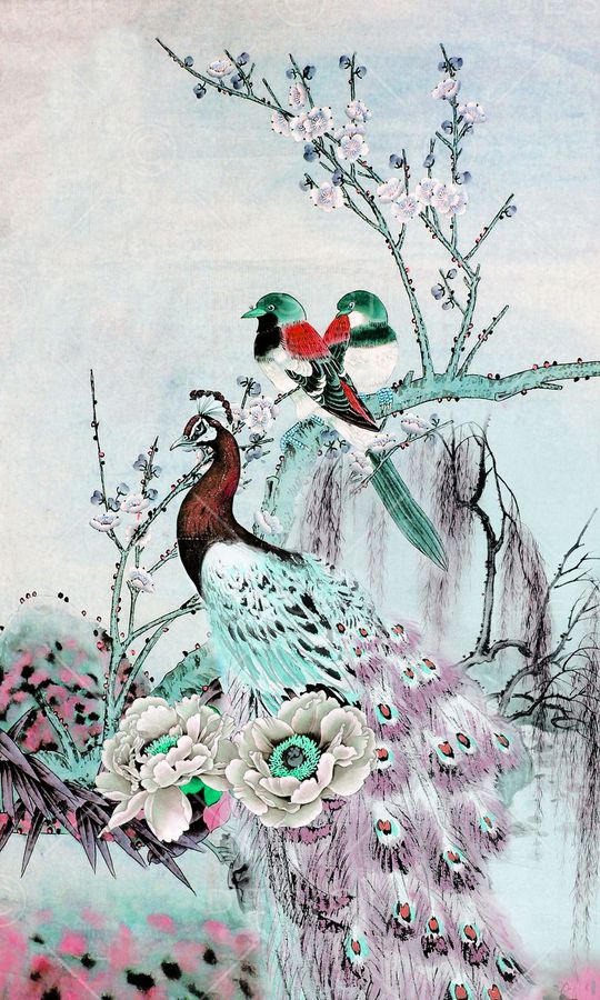 孔雀印花华亿平台图片