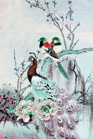 孔雀印花华亿平台图片