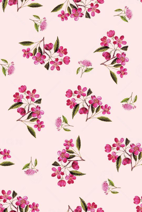 泳装印花华亿平台图片