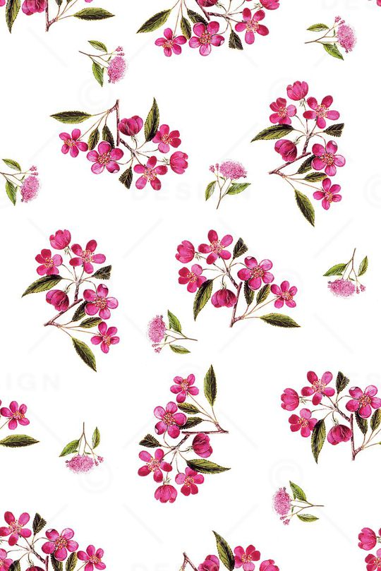 泳装印花华亿平台图片