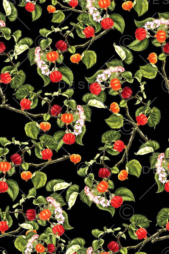 水果印花华亿平台图片