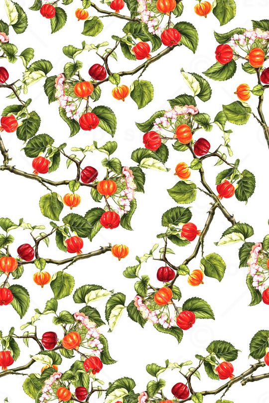 水果印花华亿平台图片