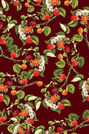 水果印花华亿平台图片