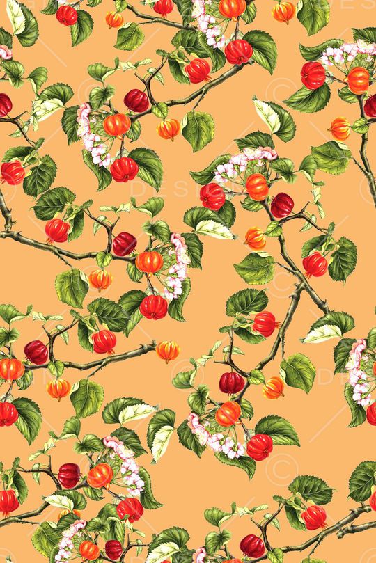 水果印花华亿平台图片