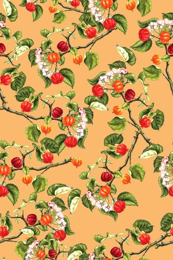 703656-FLZ-9-6。。。。