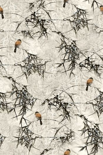 国画竹子花鸟印花华亿平台图片