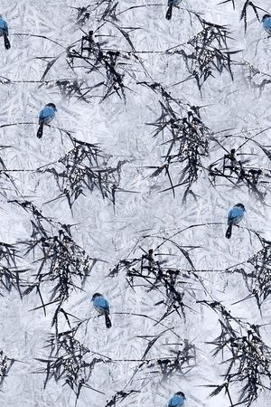 国画竹子花鸟印花华亿平台图片