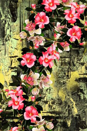 乱花印花华亿平台图片