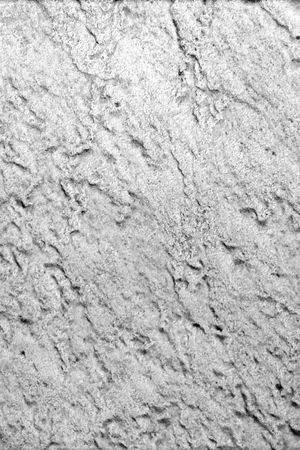 Ting-数码印花印花华亿平台图片