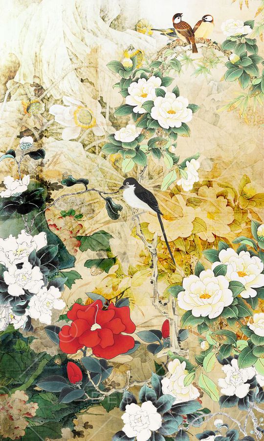 大牌女装印花华亿平台图片