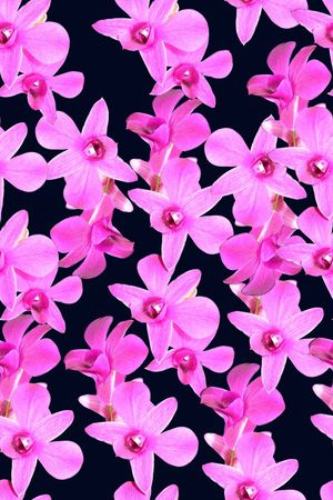 花卉花朵印花华亿平台图片