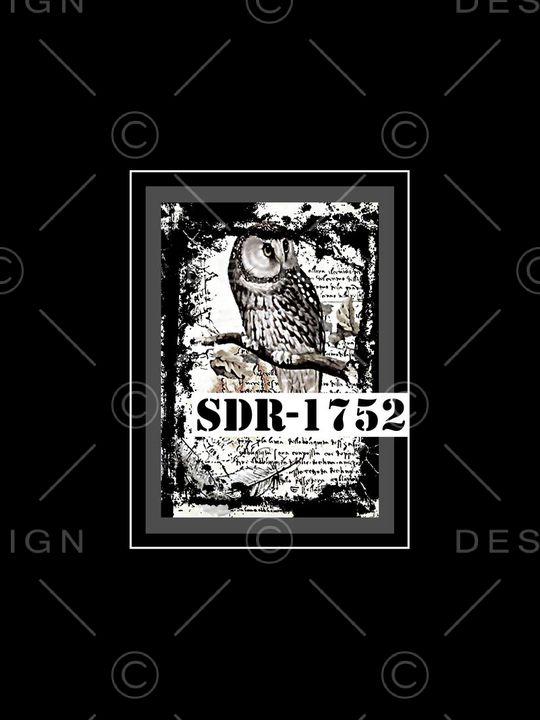 猫头鹰印花华亿平台图片