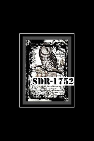 猫头鹰印花华亿平台图片