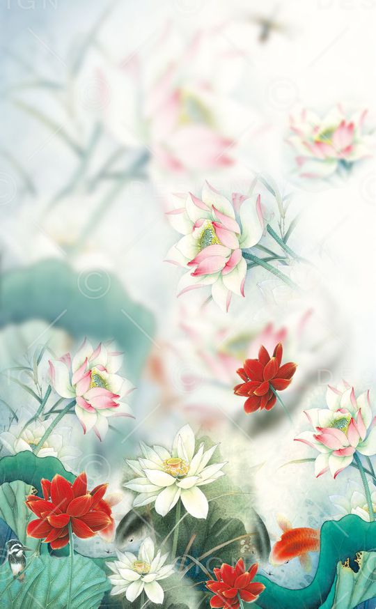 国画荷花印花华亿平台图片