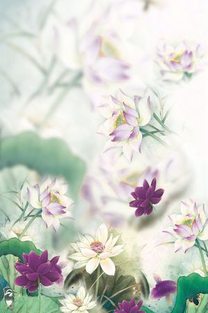 国画荷花印花华亿平台图片