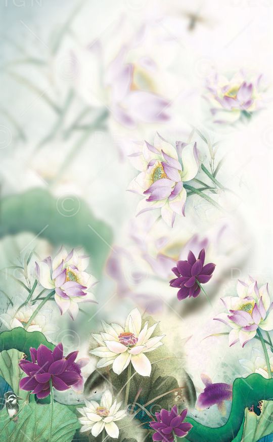 国画荷花印花华亿平台图片