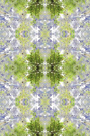 树木印花华亿平台图片