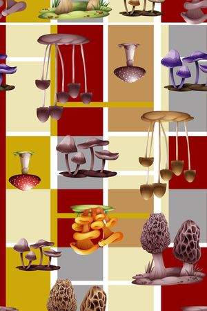 格子印花华亿平台图片