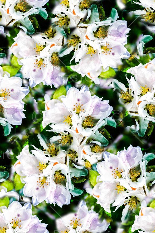 植物花卉印花华亿平台图片