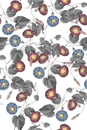 704412-wal-160909-1-3