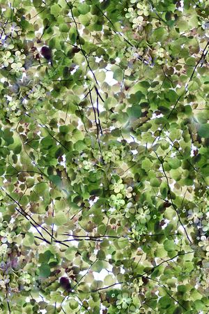 手绘风景植物叶子印花华亿平台图片