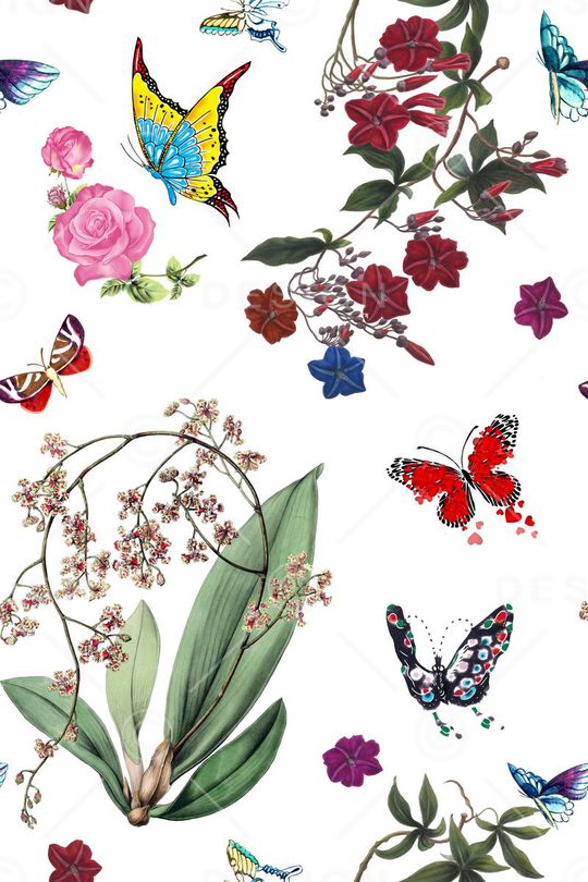 蝴蝶印花华亿平台图片