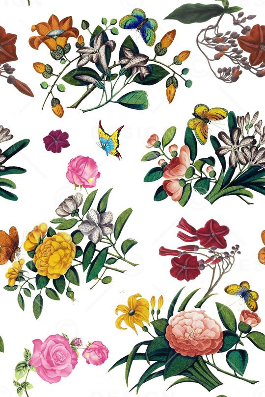 蝴蝶印花华亿平台图片