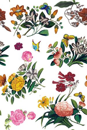 蝴蝶印花华亿平台图片