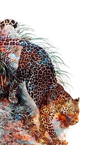 704756-838816091205a