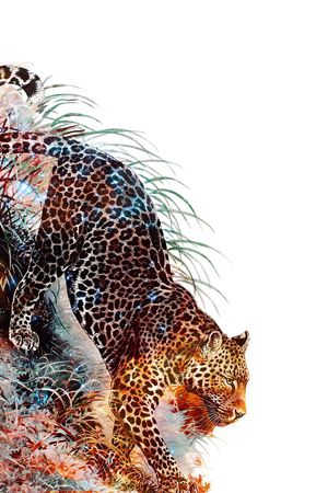 动物印花华亿平台图片