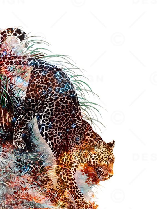 动物印花华亿平台图片