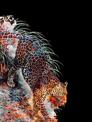 704757-838816091205b