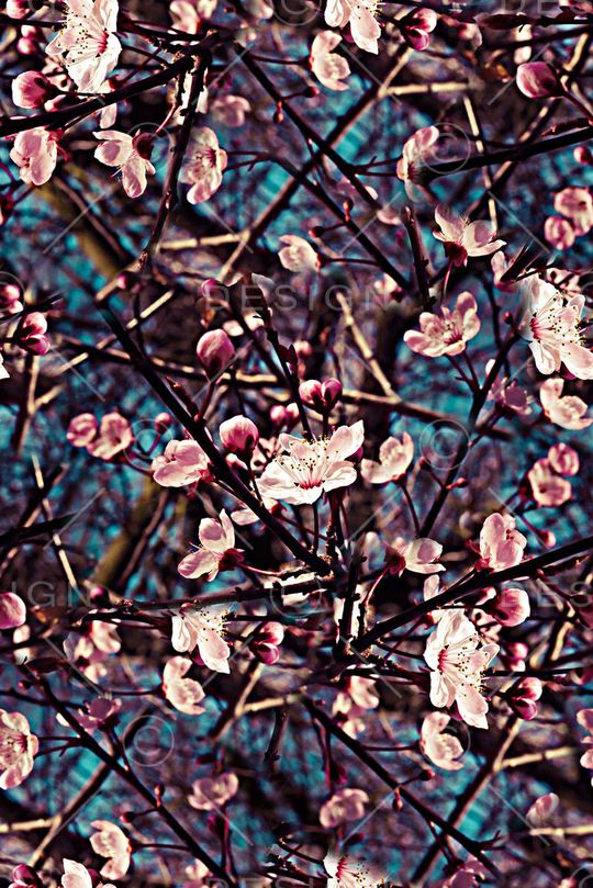 手绘水彩梅花数码印花印花华亿平台图片