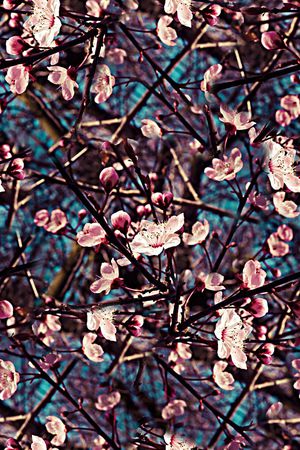 手绘水彩梅花数码印花印花华亿平台图片