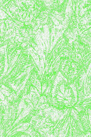 腰果印花华亿平台图片