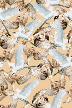 鸟印花华亿平台图片