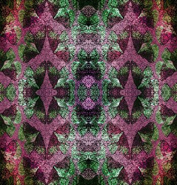 705123-纹理蝴蝶3