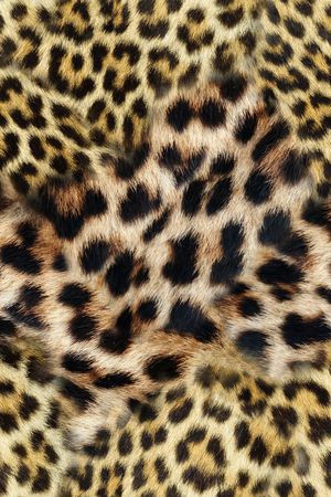 精美动物纹印花华亿平台图片