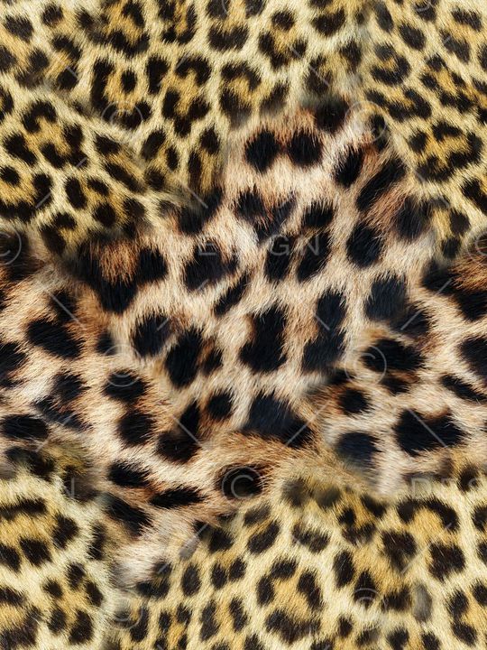 精美动物纹印花华亿平台图片