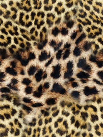 精美动物纹印花华亿平台图片