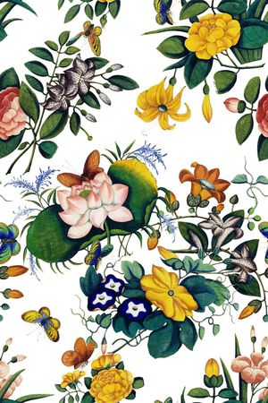 蝴蝶印花华亿平台图片