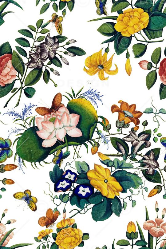 蝴蝶印花华亿平台图片