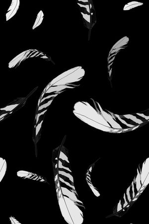 羽毛印花华亿平台图片