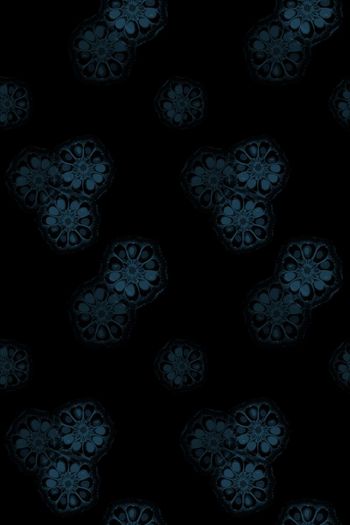 705355-160903-nzhh-6-1