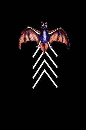 抽象手绘蝙蝠印花印花华亿平台图片