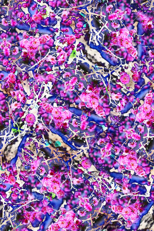 女装印花华亿平台图片