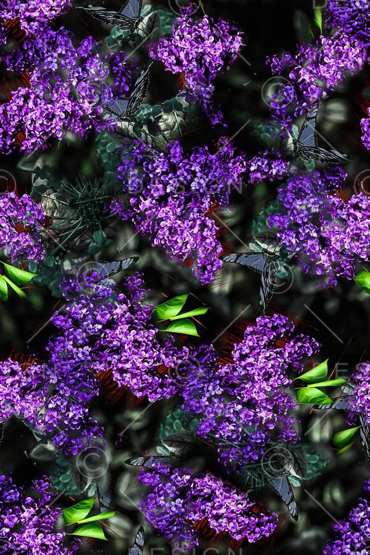 女装印花华亿平台图片